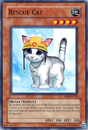 Rescue Cat [DR3-EN153] Common